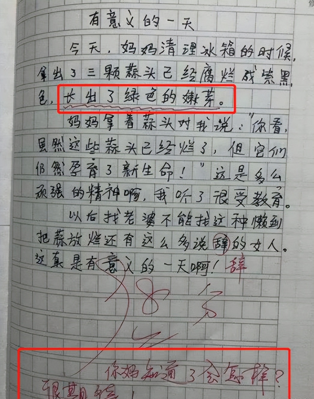 小学生逆天作文女人,10岁小学生作文爆火