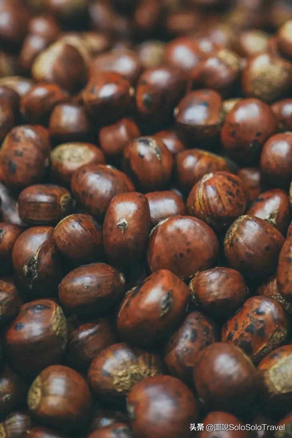 一生必去的三个美食小城,6个一生必去旅游地