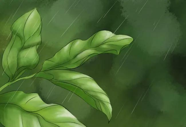 杜甫最有名的十首诗句带图,杜甫最经典的七律诗30首