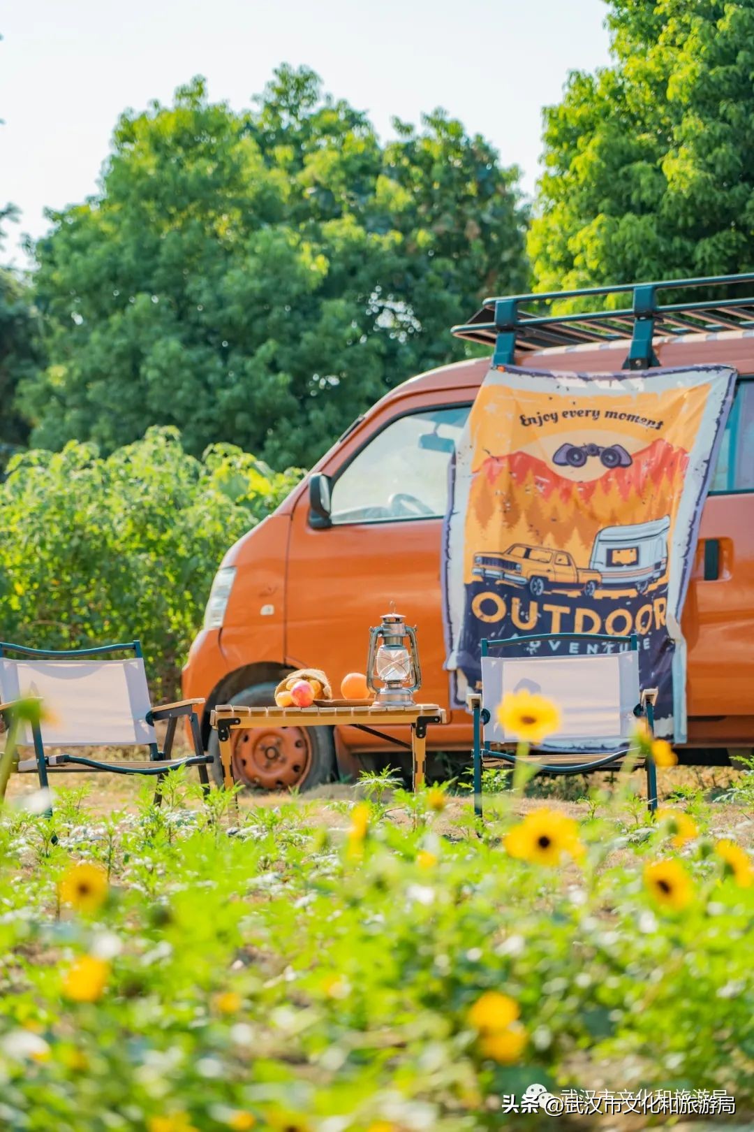 武汉市区内最大的向日葵花海开了,武汉最大的向日葵基地