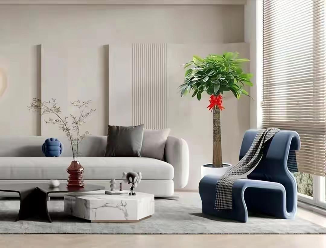 摆放客厅十种最旺气的花,家中客厅财位摆放什么最招财聚财