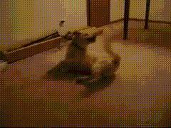 soundsleep,soundsleep是什么意思