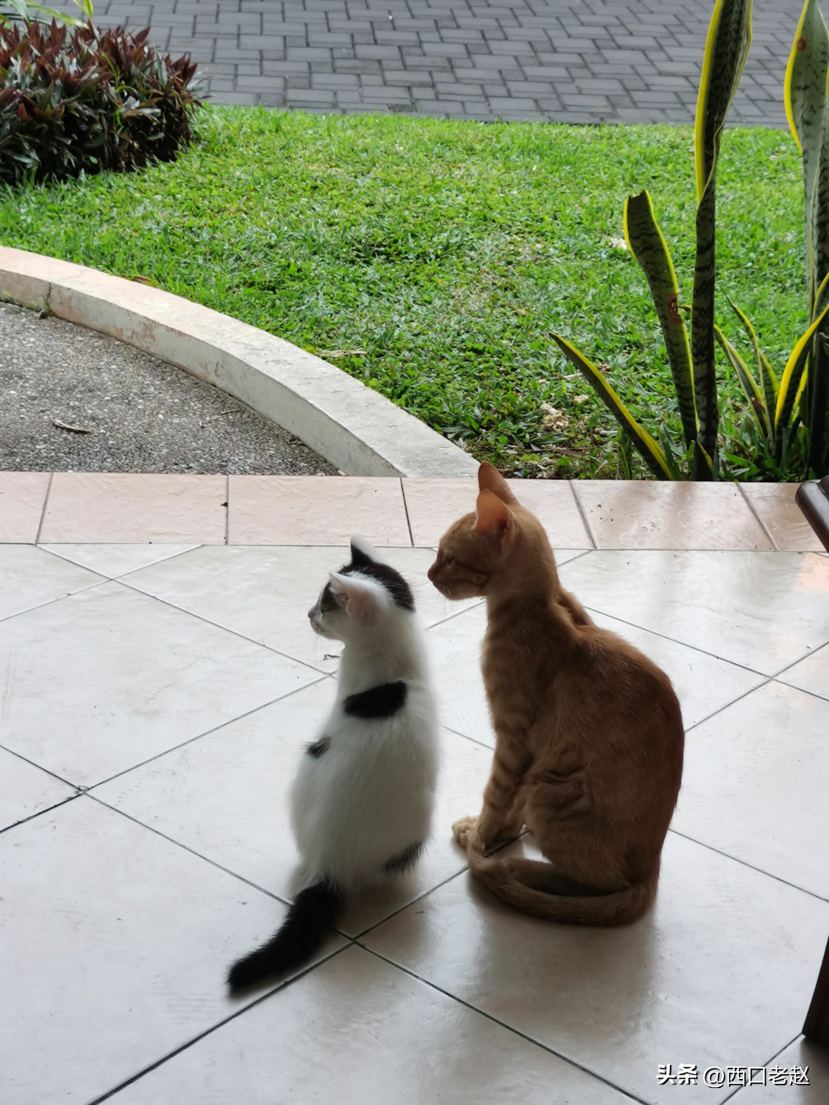 行走在国外的岁月33——致敬我的海外生涯