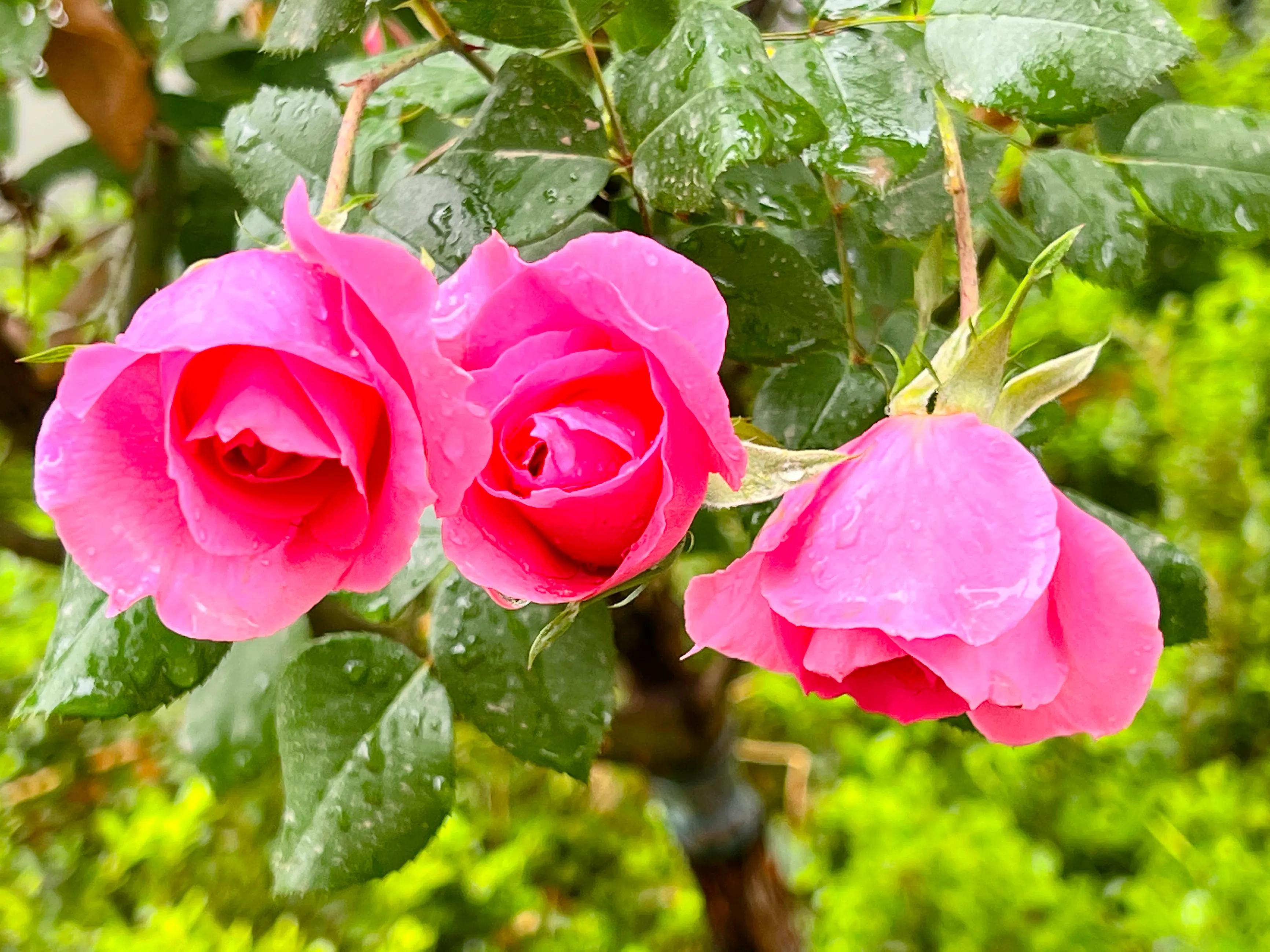 慧眼识得真金,人身上隐藏着神秘的“宝藏”,只是没有人去识别