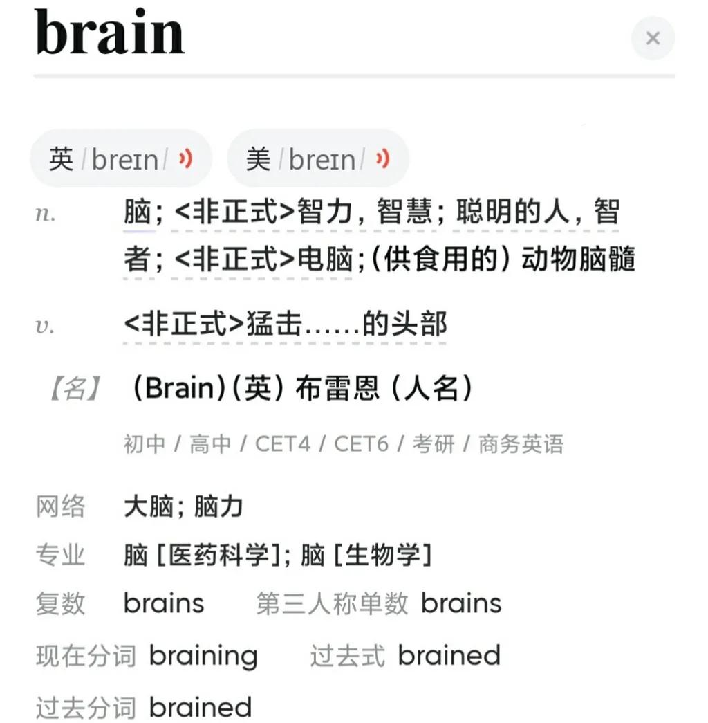 2023英语笔记,2023-2024学英语
