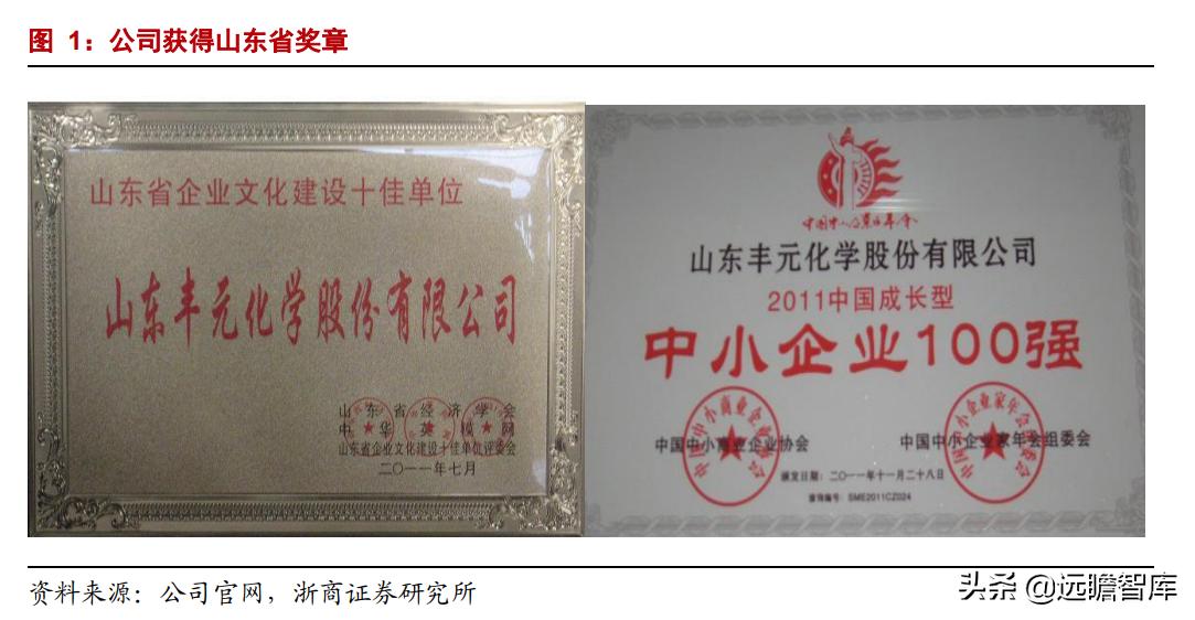 正极材料前三名丰元股份,丰元股份锂电池正极材料生产基地