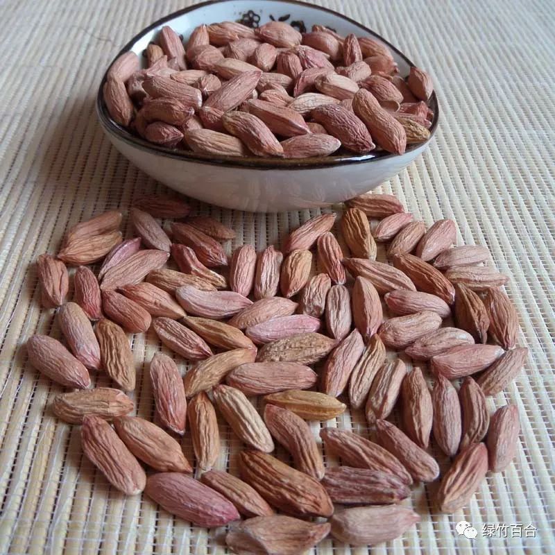 落花生课文,落花生的女儿