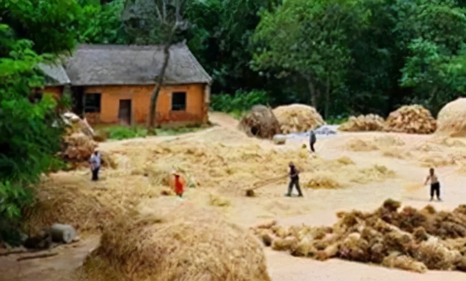 梅花香自苦寒来的上一句是什么,梅花香自苦寒来视频