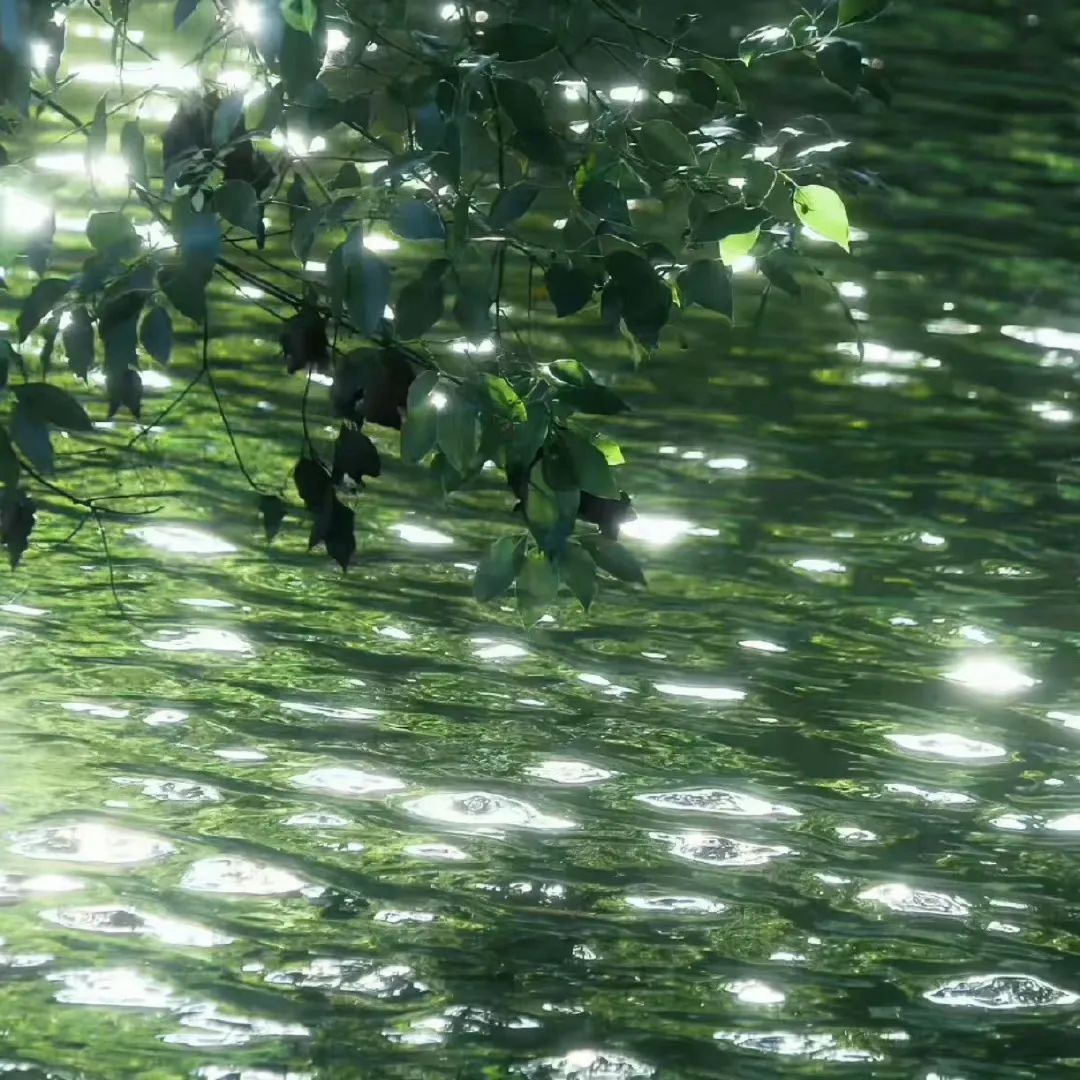 春日氛围感头像带背景图,春日已至头像图片