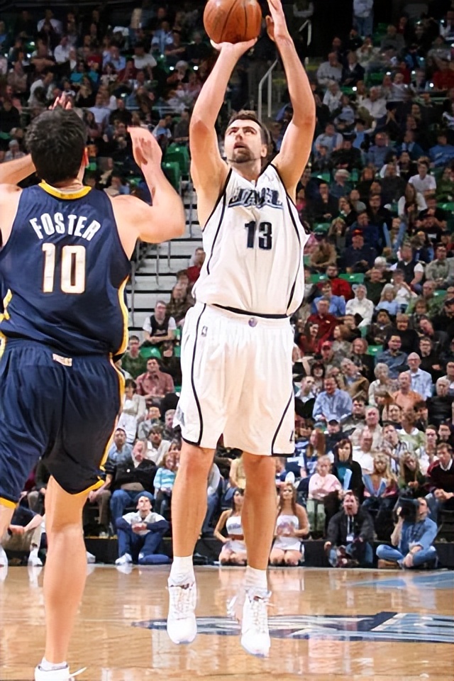 狗中哈士奇土耳其,狗中哈士奇有多厉害