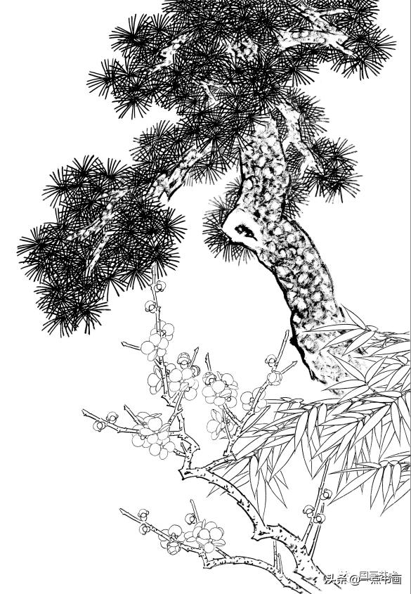 工笔国画花鸟鱼虫作品欣赏,工笔花鸟教学视频教程