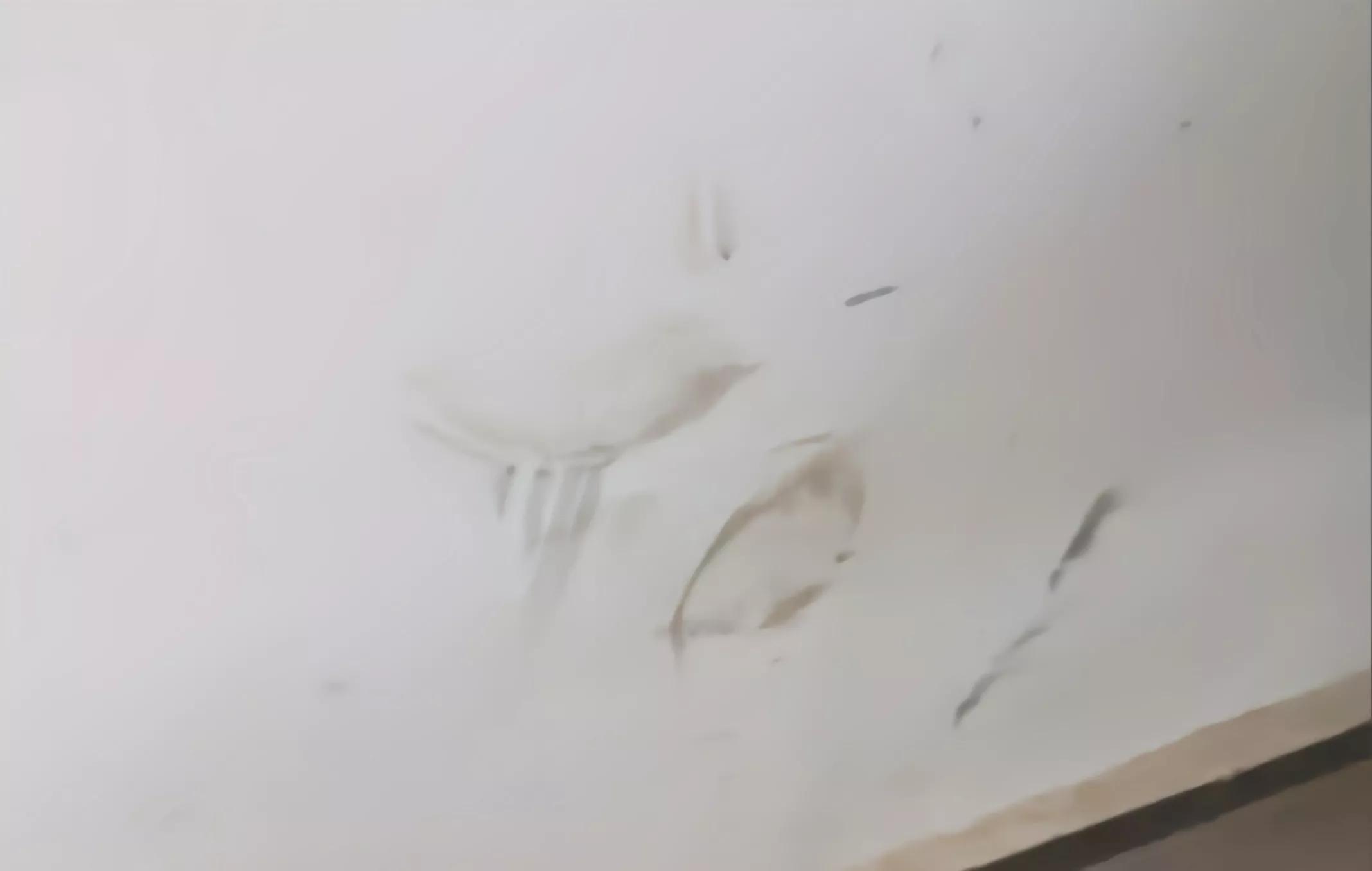 快速去除下水道异味的办法,消除下水道异味的小偏方