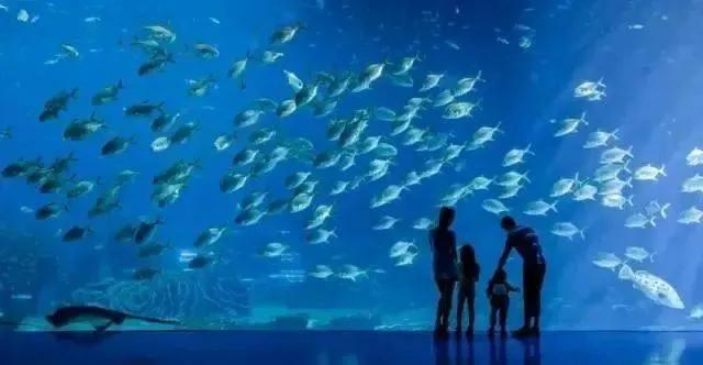 你不知道的最美海边景色,十大最漂亮的海边美景