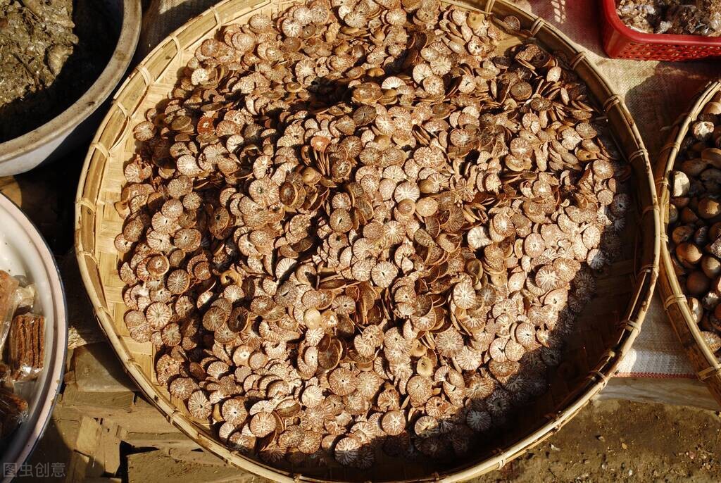 槟榔价格为什么暴跌,导致槟榔价格下跌的原因