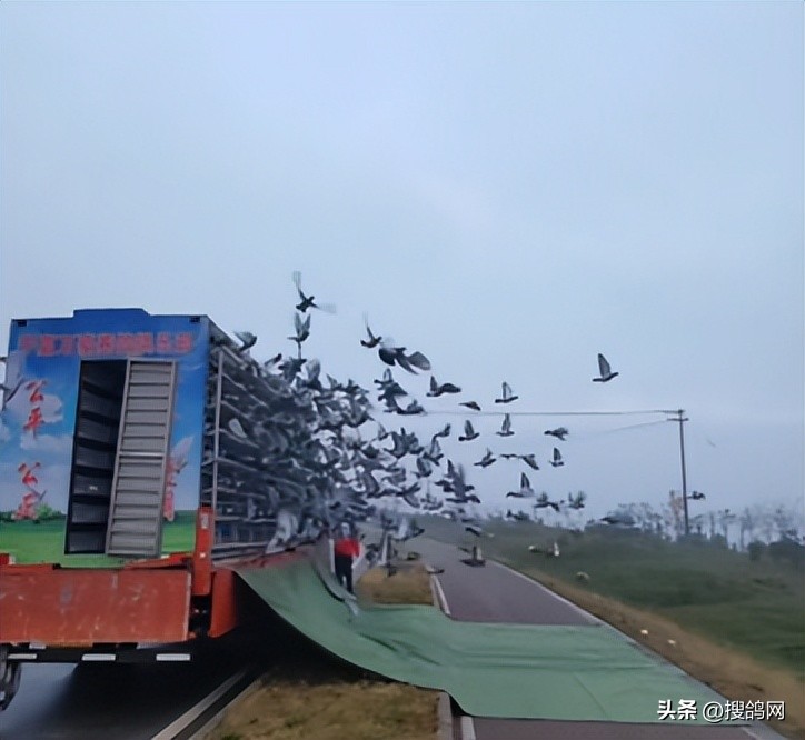 宁夏吴忠“万豪杯”实力战将宁夏古田10进2