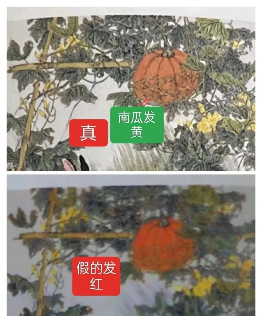 怎样辨别兔茅的真假,兔茅精选跟兔茅区别