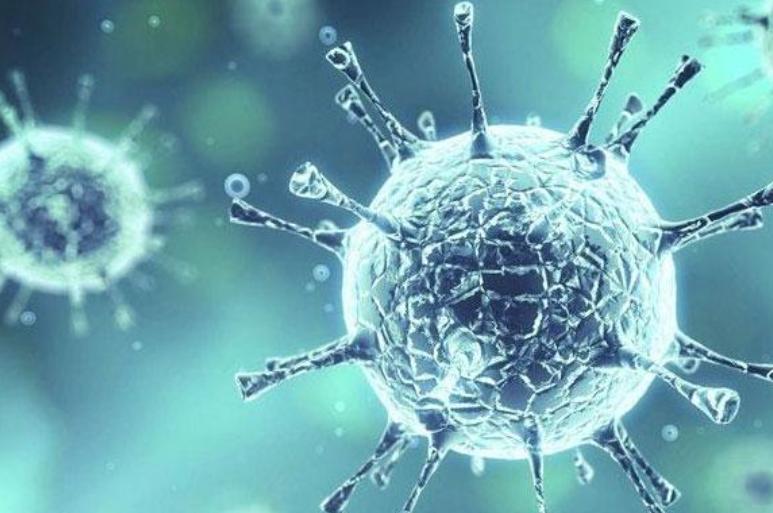 痔疮和肛周湿疣,肛周湿疣和痔疮先治哪个