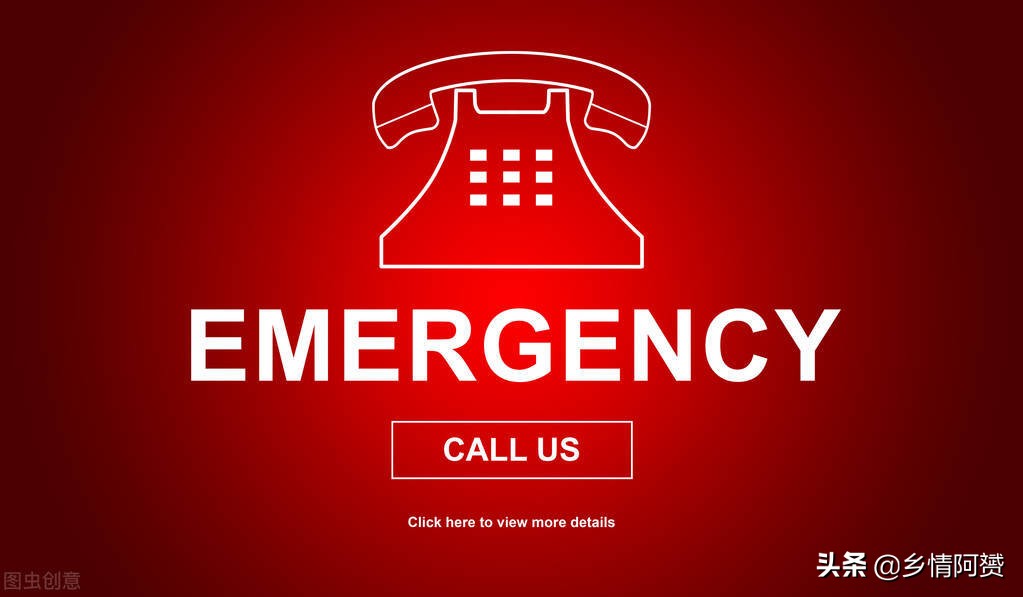 无人区遭遇狼群躲在车里,遭遇狼群袭击躲进房车里安全吗