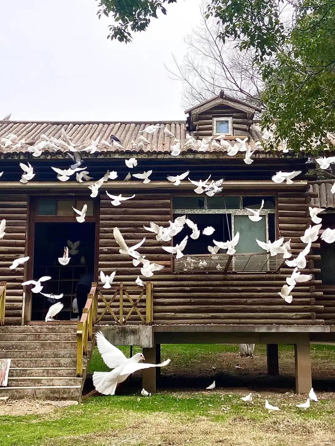 提前还贷的最佳时间,提前还贷要什么资料