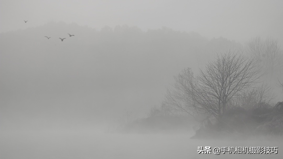 17张普通人拍出来的好照片:会拍照的人,果然善于“设计”