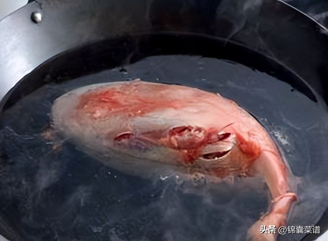 家常菜100道开胃下饭肉食,家常菜肉食菜谱