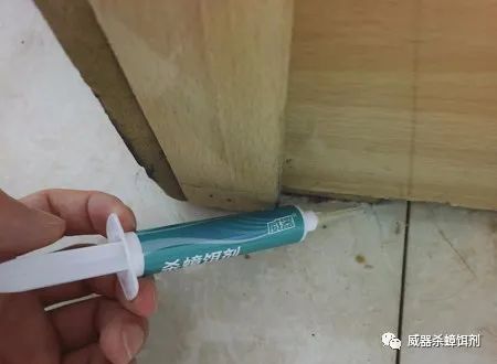 买什么样的蟑螂药效果比较好,如何选择蟑螂药呢