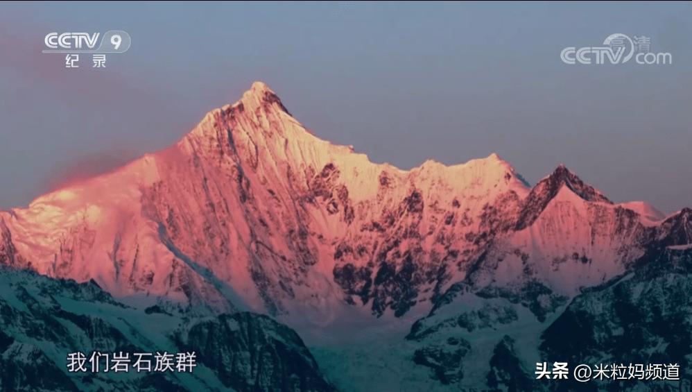 太养眼了！不能出门的日子，我给孩子找到了几个互联网“眼替”