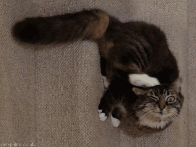 为什么到处都是痒痒肉,为什么浑身上下都是痒痒肉