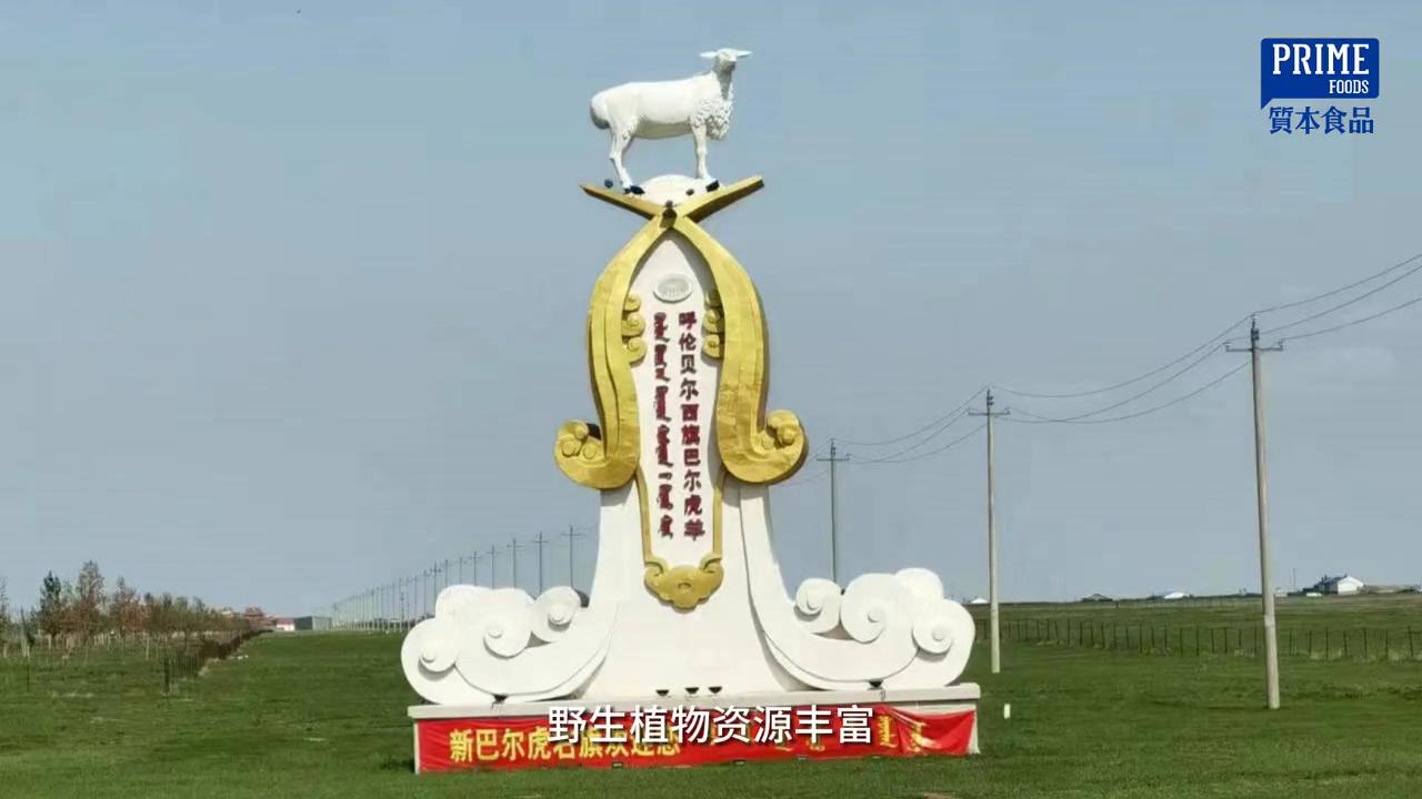 西旗草原羊肉,内蒙古正宗西旗羊肉