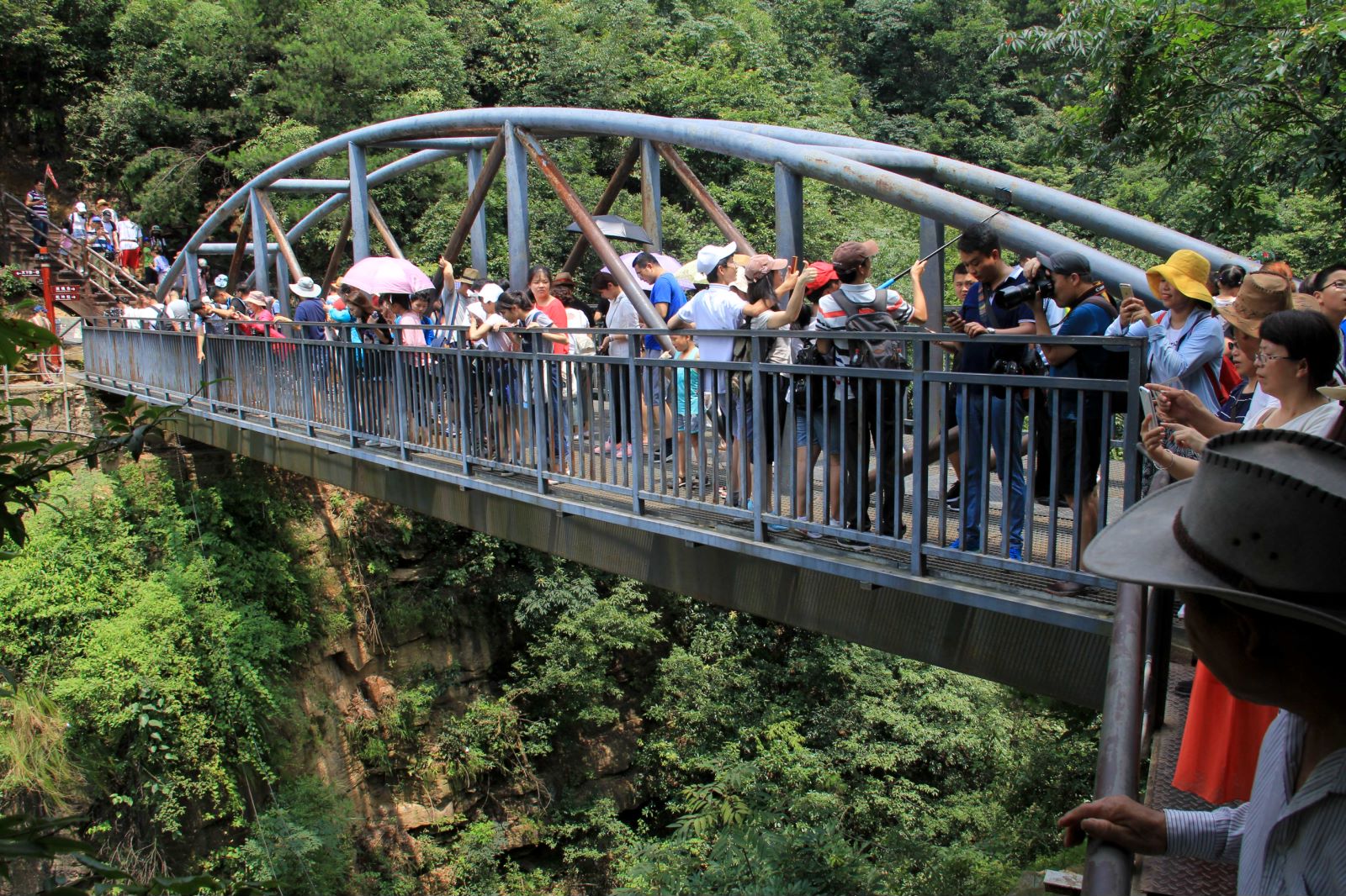 去张家界玩的攻略大全,湖南张家界旅游攻略4天3晚价格
