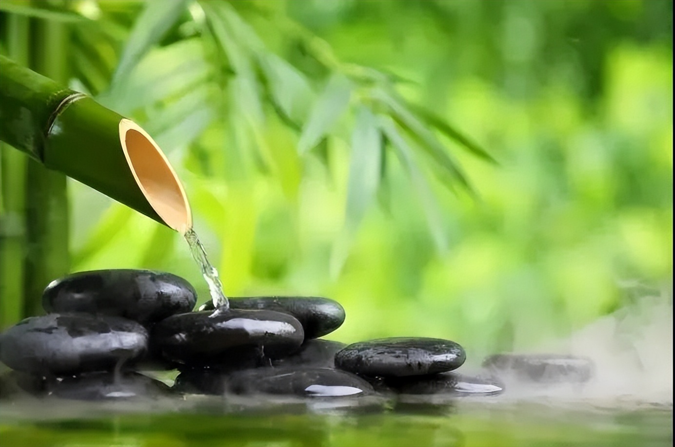 到底是糊涂还是迷途,到底什么是糊涂