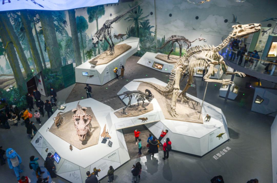 打卡山东博物馆和大明湖,山东博物馆打卡预约