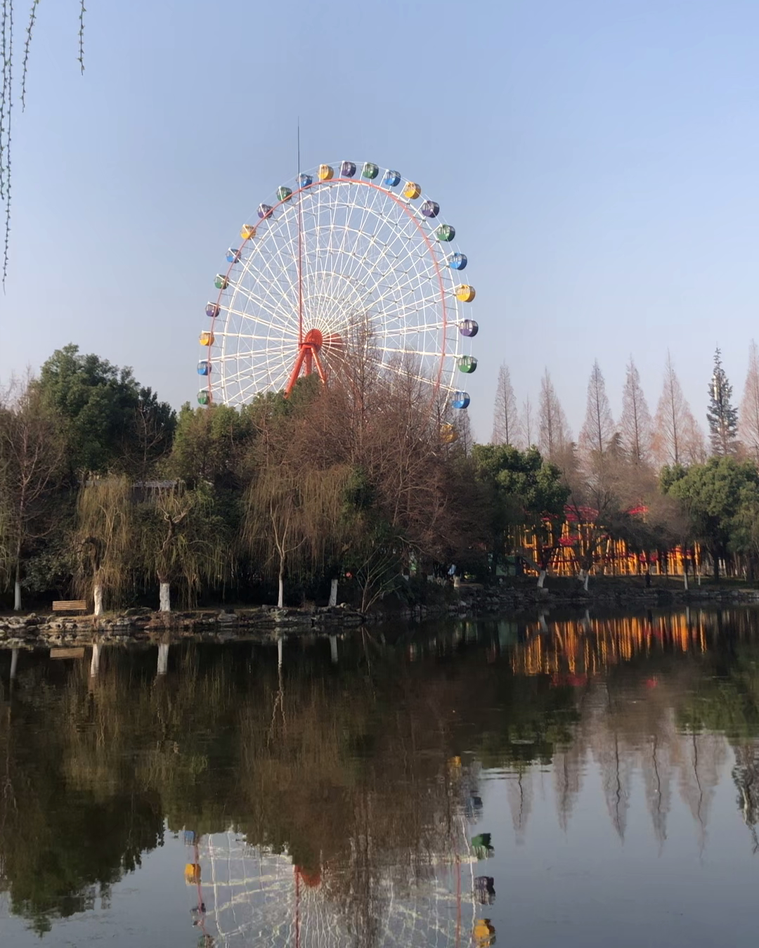 合肥的杏花公园的位置,有一棵杏花树的公园合肥