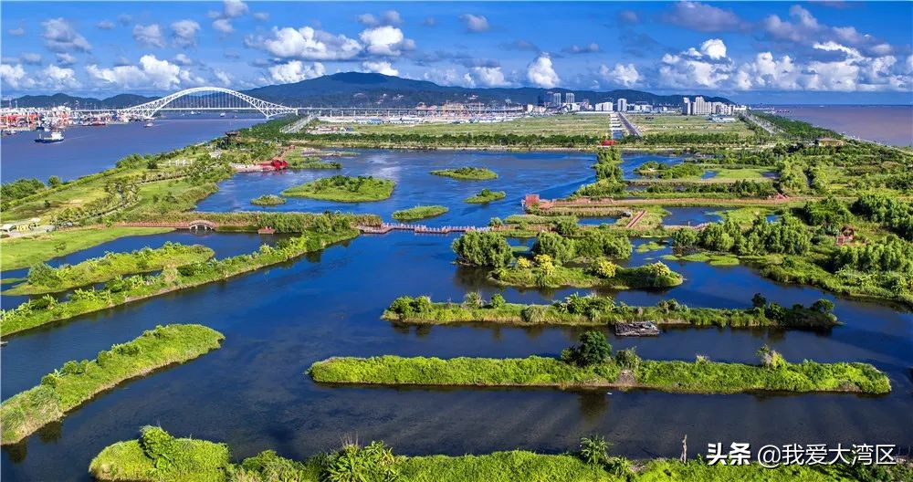 珠海春游赏花,珠海周边踏青景点