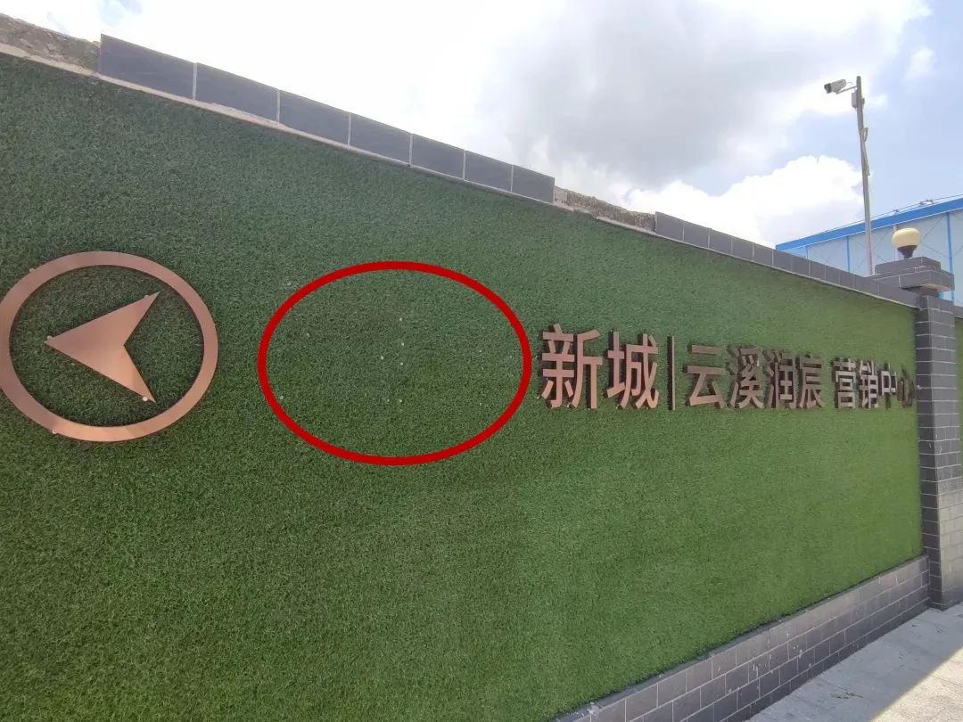 钟落潭最近活动,一夜爆火的钟落潭