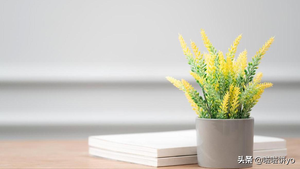 什么是一个很实用的存钱方法,10个最好的存钱方法