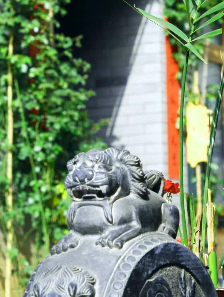 茵香河畔图片,茵香河