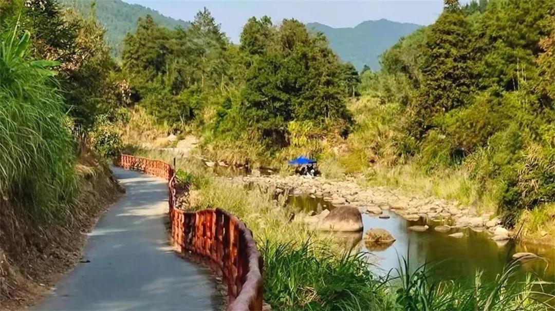 广州从化赏荷花胜地,从化草埔荷花