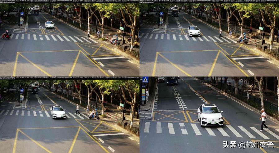 浙AA**335、浙A0**P0、浙AA**105这些车上榜了