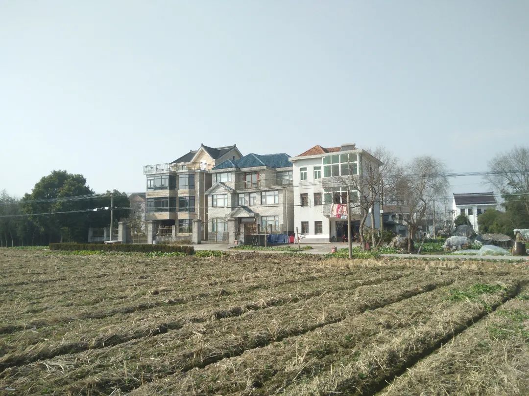 涓婃捣鍐滄皯鎴垮甫闄㈠瓙鍑虹,涓婃捣甯﹂櫌瀛愮殑鎴垮瓙鍑虹