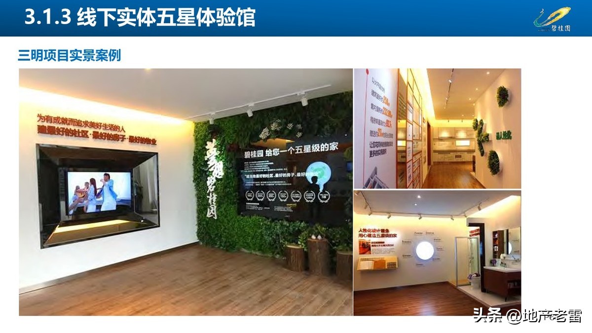 碧桂园创新房营销模式,碧桂园房地产绿色营销