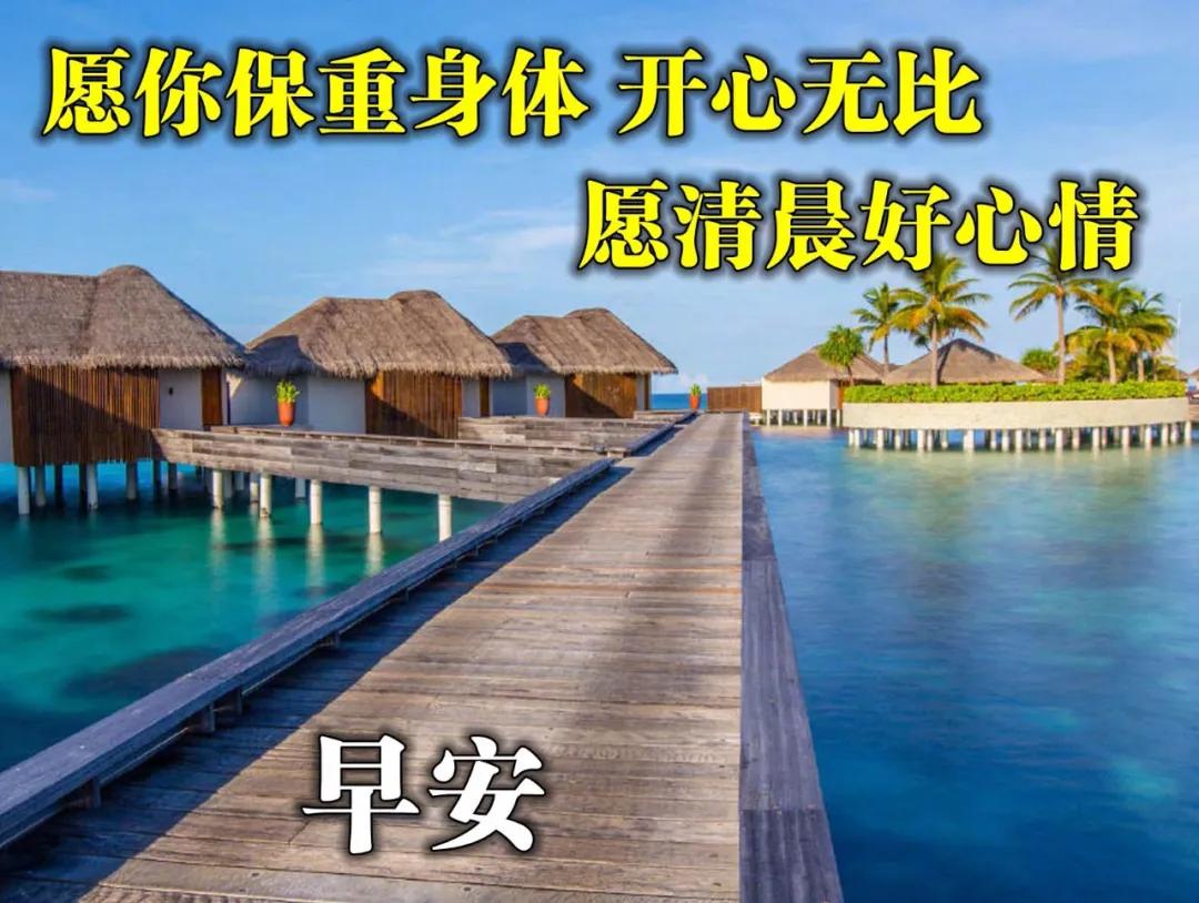 暖心图片表情包早上好,夏天炎热的早上好表情包