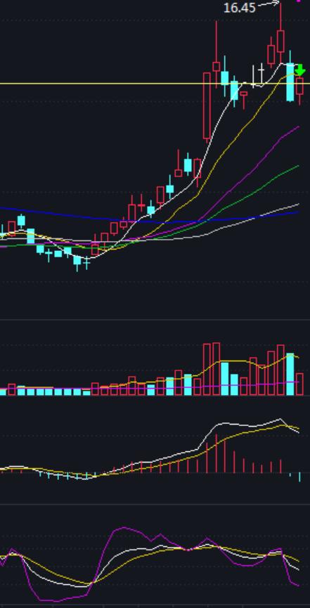 随心动含义,随心意交易软件怎么样