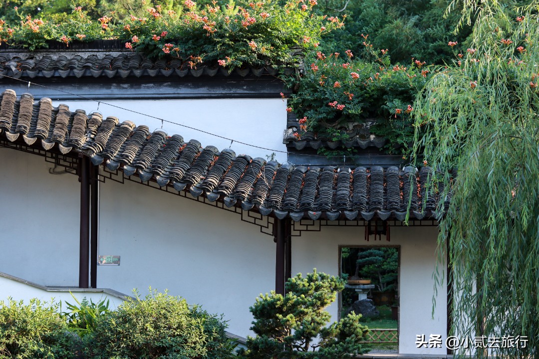 南京瞻园汉服摄影,南京瞻园园林山水布局