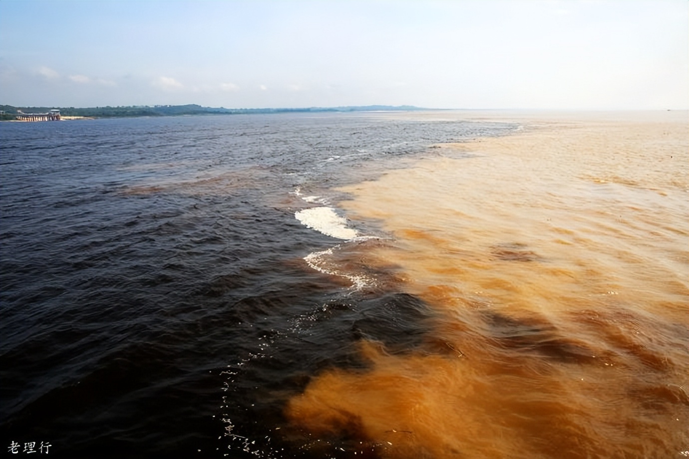 南美四国之旅,巴西亚马逊之行