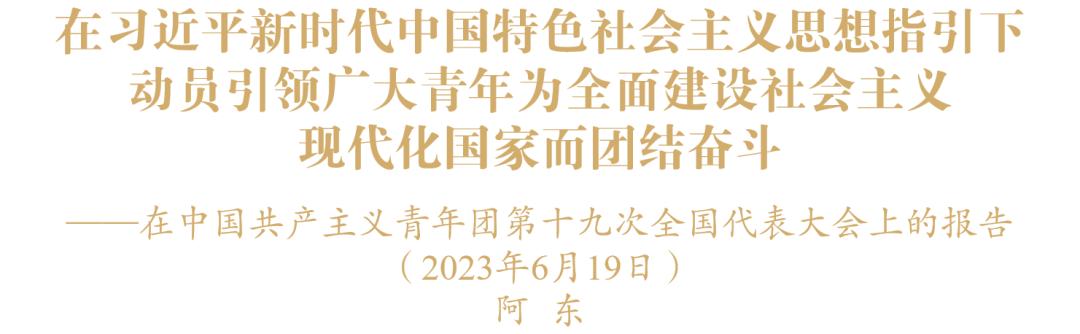 青年团第十三次全国代表大会,青年团第十五次全国代表大会