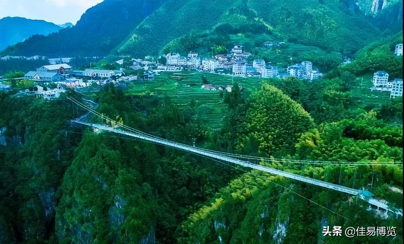 迟子建一坛猪油在线阅读,迟子建一罐猪油讲的是什么