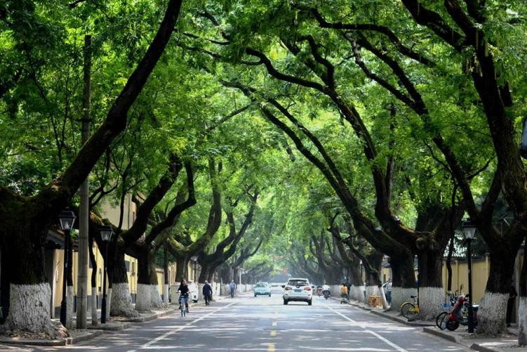 图集丨新“金陵48景”之二十一:颐和公馆