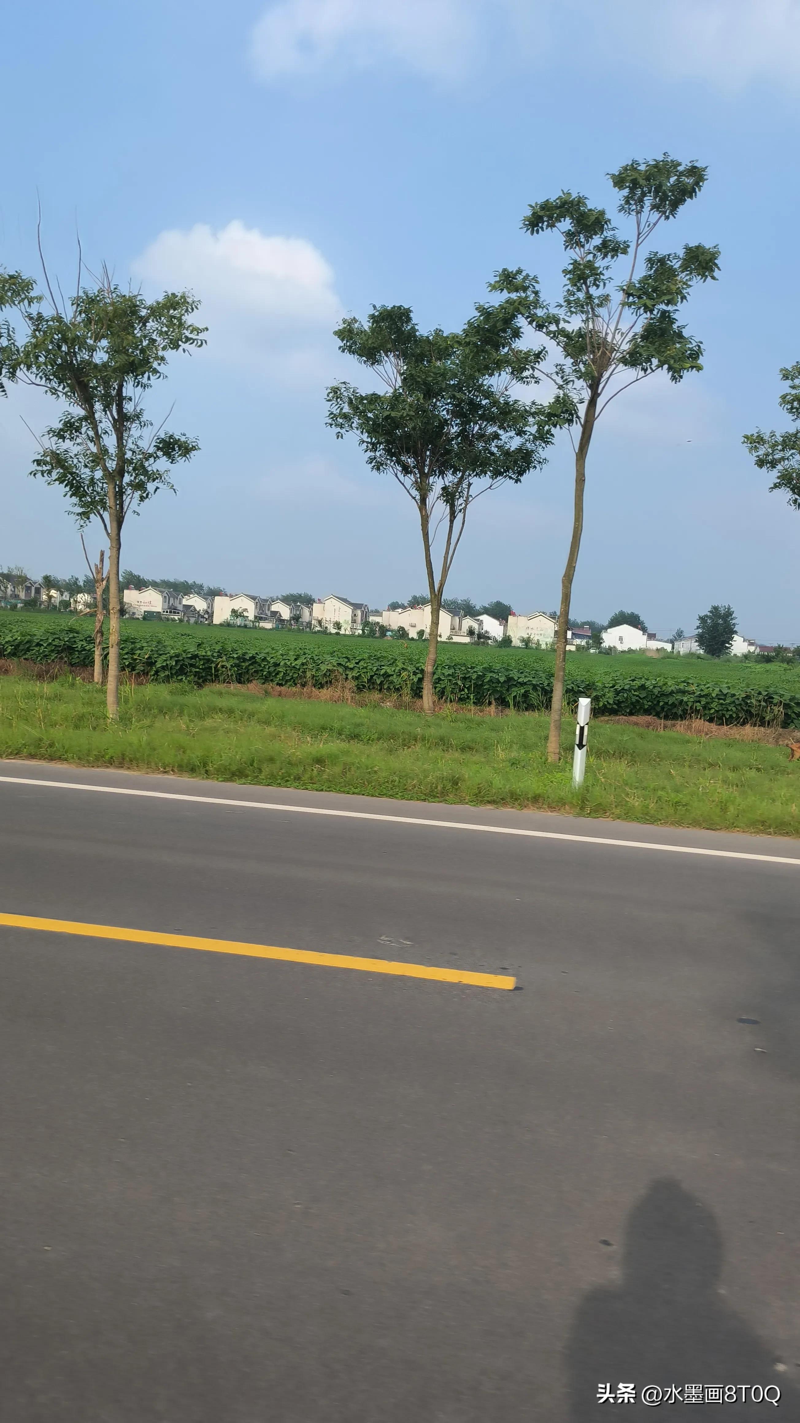 面瘫求医之路,面瘫患者求医