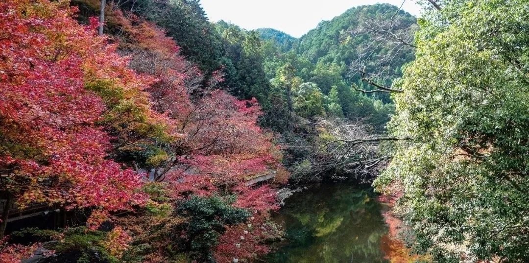 浜兘閰掑簵鎺ㄨ崘鏃ュ紡,浜兘鏃ュ紡鏃呴鎺ㄨ崘